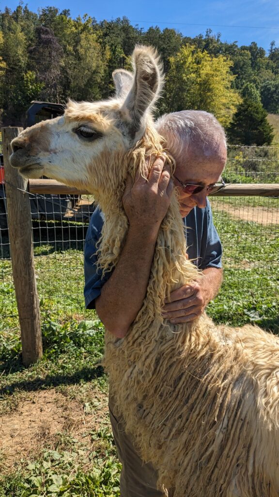 Llama Hugs